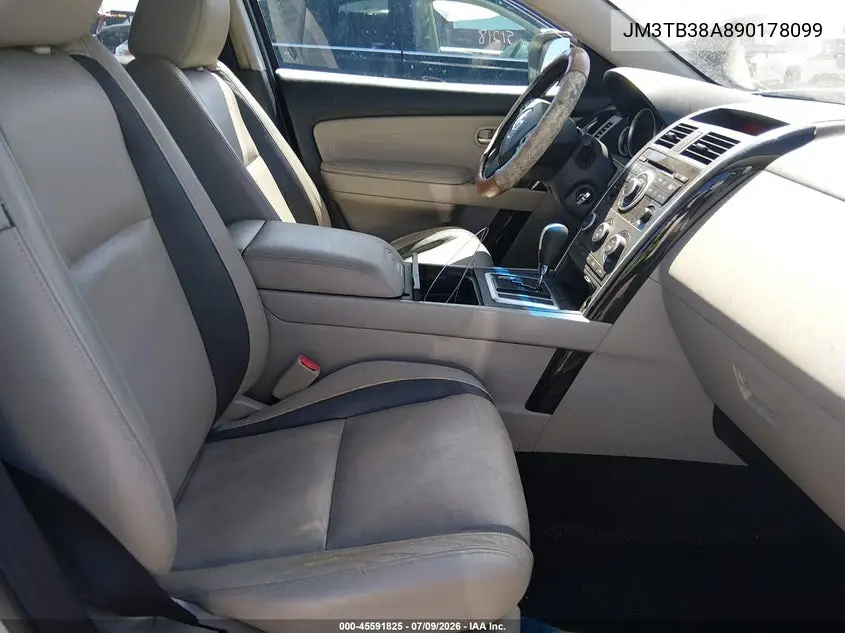 2009 Mazda Cx-9 Touring VIN: JM3TB38A890178099 Lot: 45591825