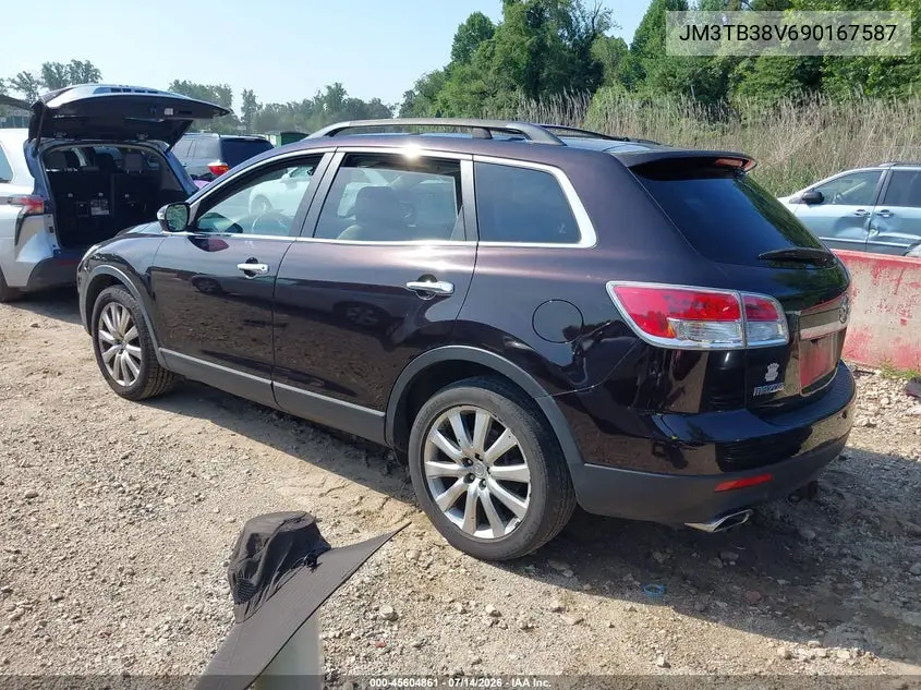 2009 Mazda Cx-9 Grand Touring VIN: JM3TB38V690167587 Lot: 45604861