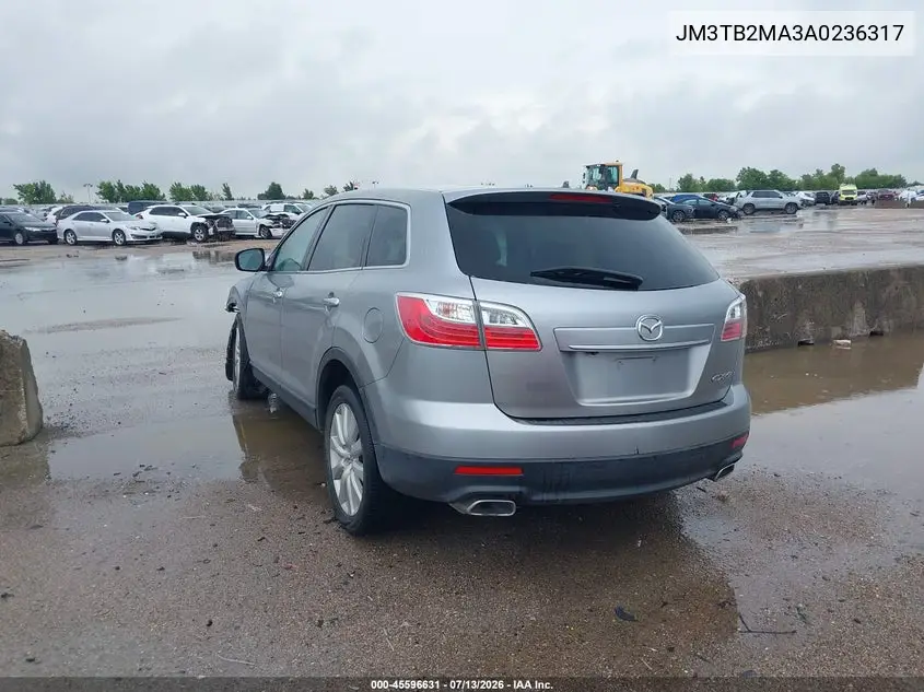 2010 Mazda Cx-9 Grand Touring VIN: JM3TB2MA3A0236317 Lot: 45596631