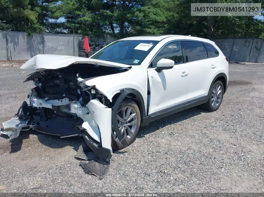 2021 Mazda Cx-9 Grand Touring VIN: JM3TCBDY8M0541293 Lot: 45606736