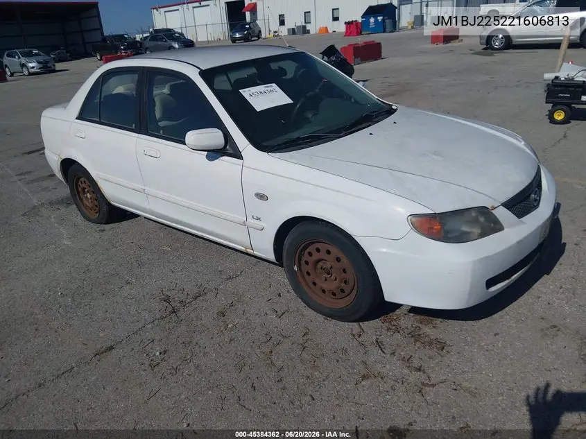 2002 Mazda Protege Dx/Es/Lx VIN: JM1BJ225221606813 Lot: 45384362