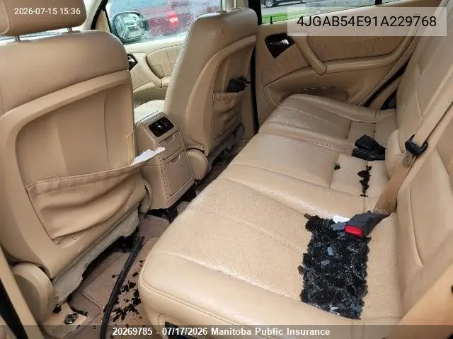 2001 Mercedes Benz Ml320 VIN: 4JGAB54E91A229768 Lot: 20269785