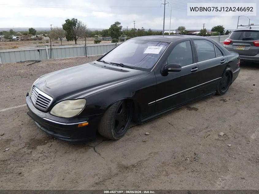 2002 Mercedes-Benz S 500 VIN: WDBNG75J12A246692 Lot: 45271851