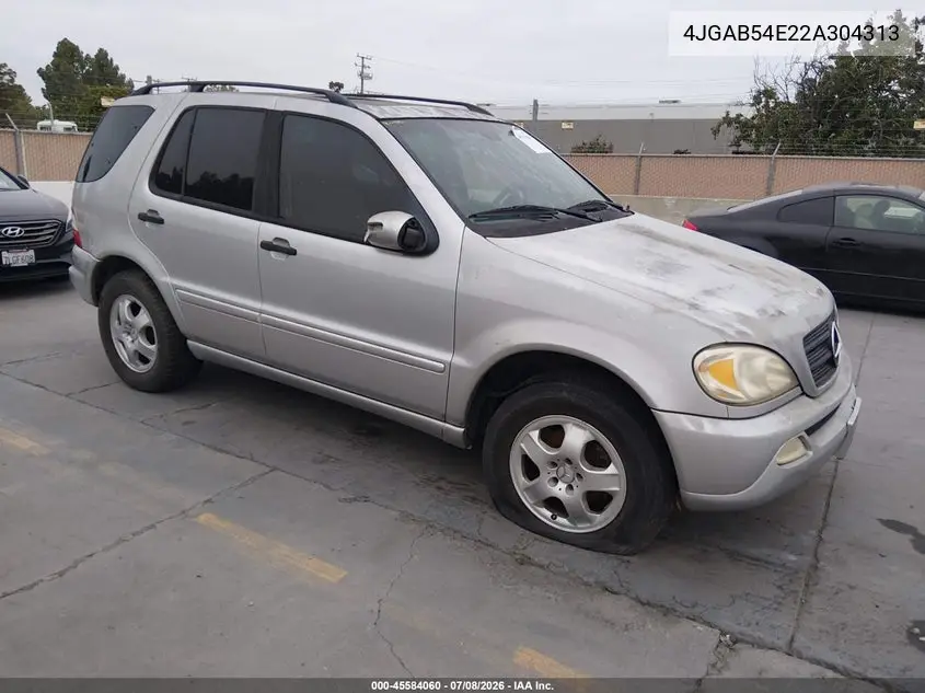 2002 Mercedes-Benz Ml 320 VIN: 4JGAB54E22A304313 Lot: 45584060