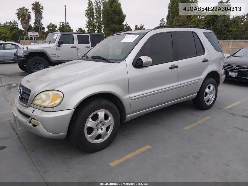2002 Mercedes-Benz Ml 320 VIN: 4JGAB54E22A304313 Lot: 45584060