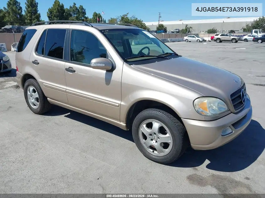 2003 Mercedes-Benz Ml 320 VIN: 4JGAB54E73A391918 Lot: 45469606