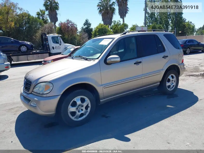 2003 Mercedes-Benz Ml 320 VIN: 4JGAB54E73A391918 Lot: 45469606
