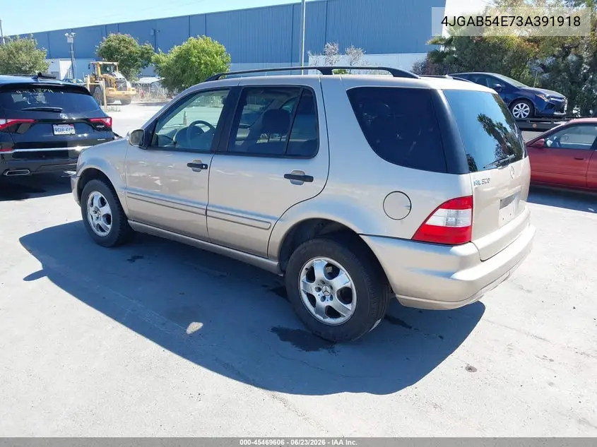 2003 Mercedes-Benz Ml 320 VIN: 4JGAB54E73A391918 Lot: 45469606