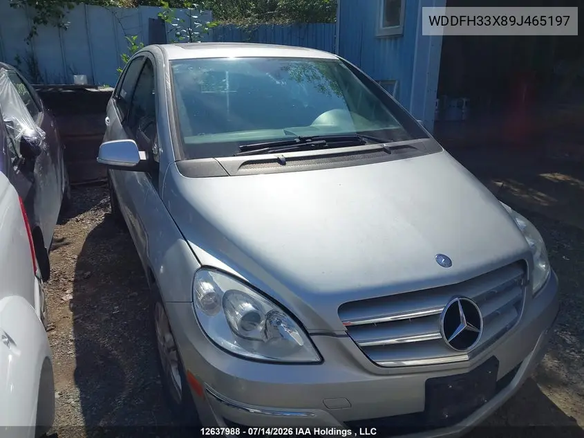 2009 Mercedes-Benz B200 VIN: WDDFH33X89J465197 Lot: 12637988