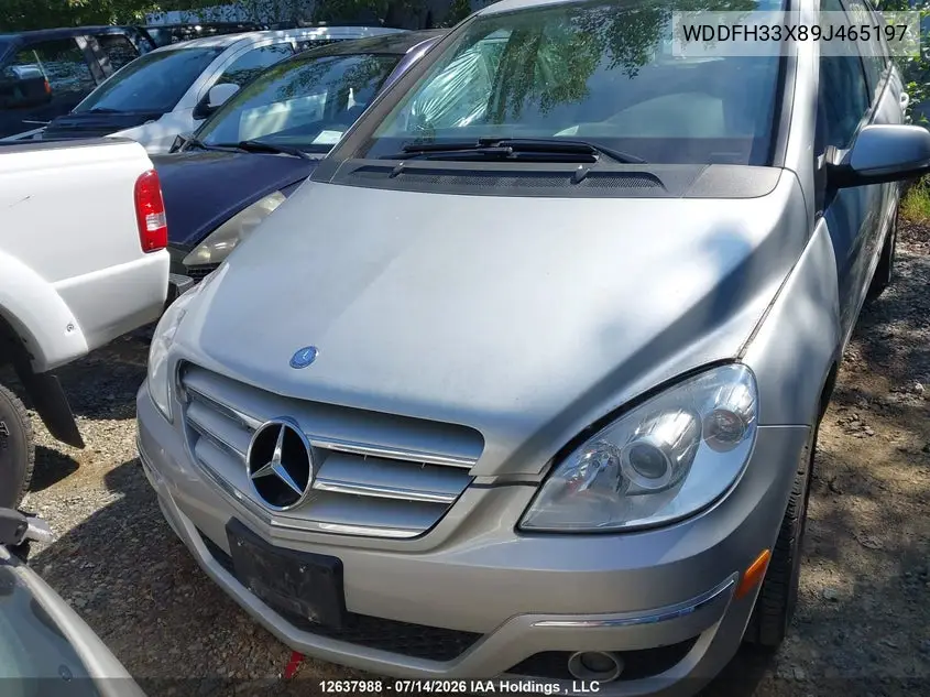 2009 Mercedes-Benz B200 VIN: WDDFH33X89J465197 Lot: 12637988