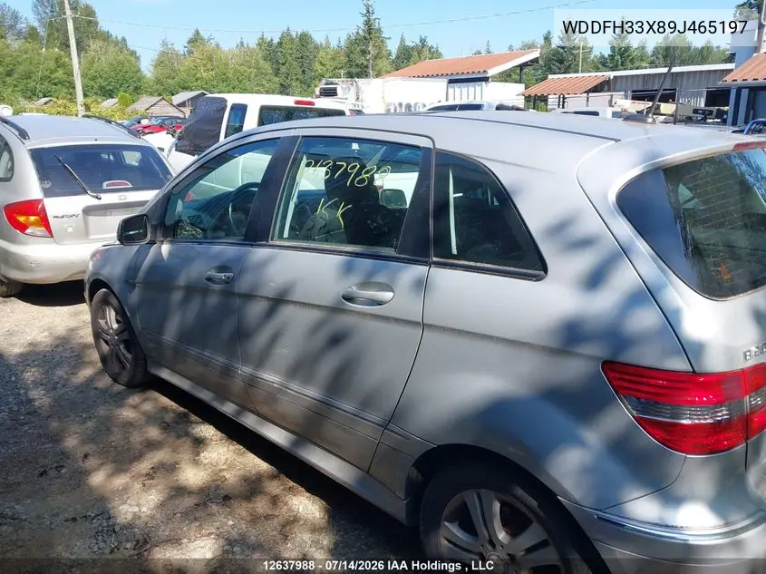 2009 Mercedes-Benz B200 VIN: WDDFH33X89J465197 Lot: 12637988