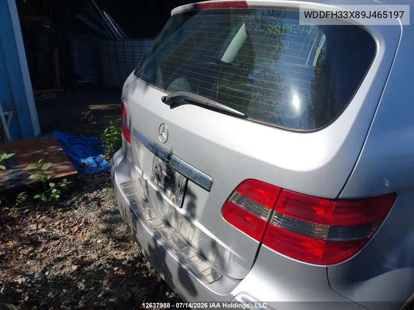 2009 Mercedes-Benz B200 VIN: WDDFH33X89J465197 Lot: 12637988