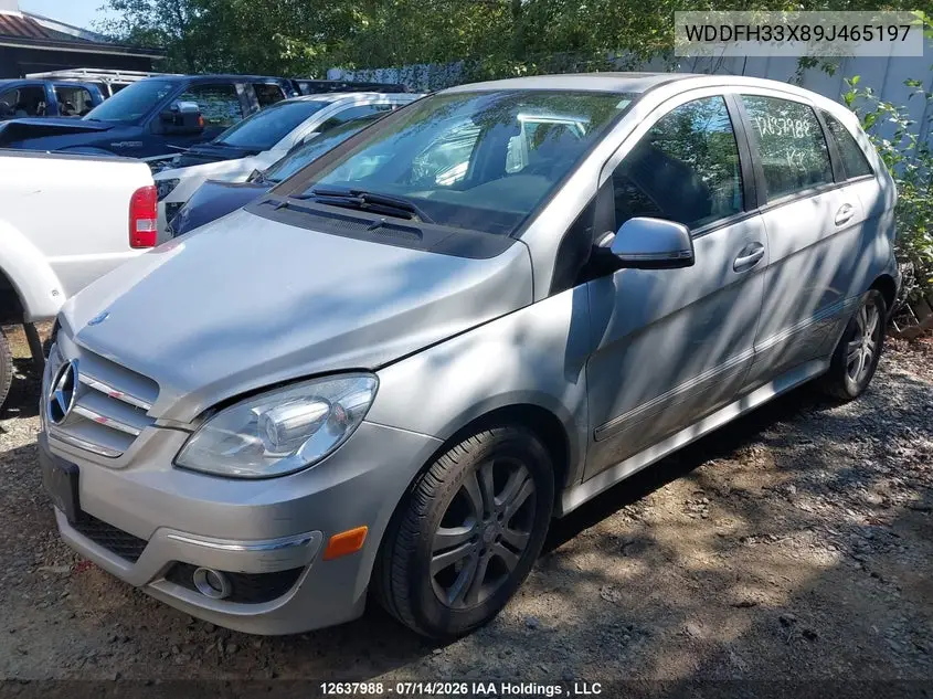2009 Mercedes-Benz B200 VIN: WDDFH33X89J465197 Lot: 12637988