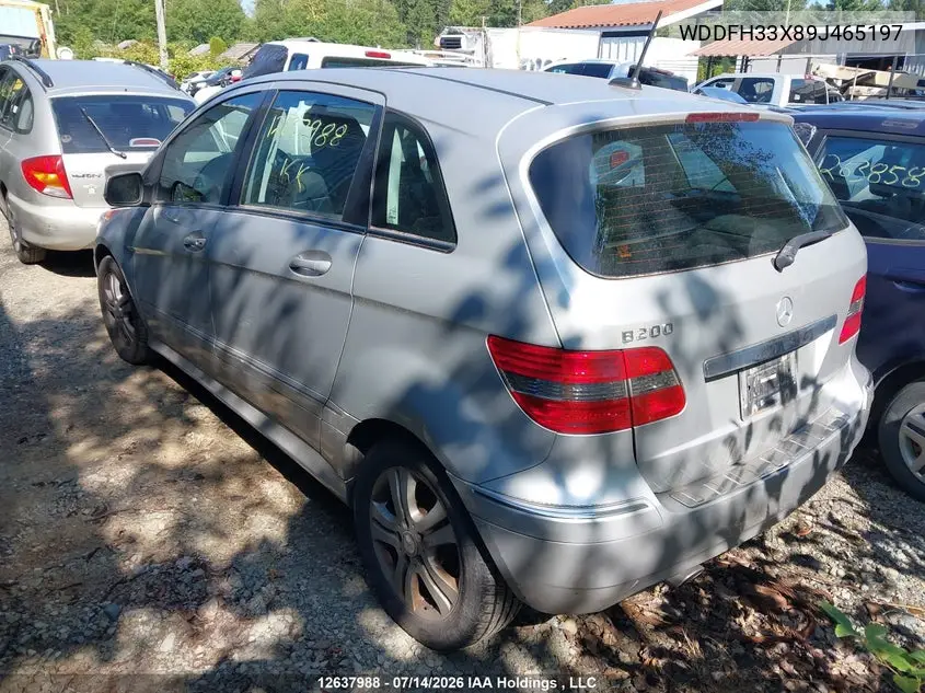 2009 Mercedes-Benz B200 VIN: WDDFH33X89J465197 Lot: 12637988
