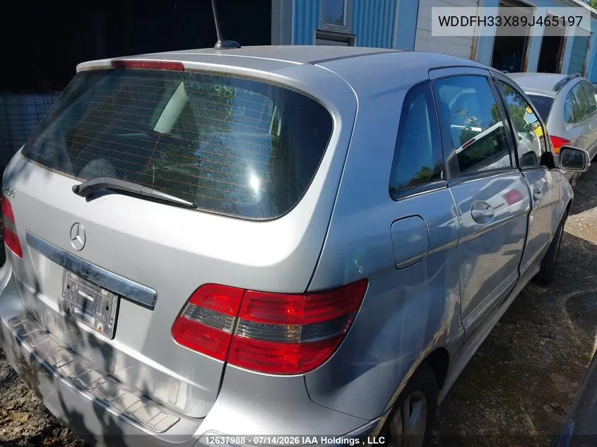 2009 Mercedes-Benz B200 VIN: WDDFH33X89J465197 Lot: 12637988