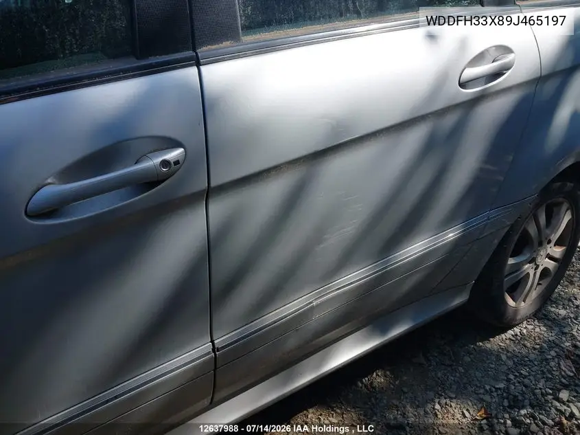2009 Mercedes-Benz B200 VIN: WDDFH33X89J465197 Lot: 12637988