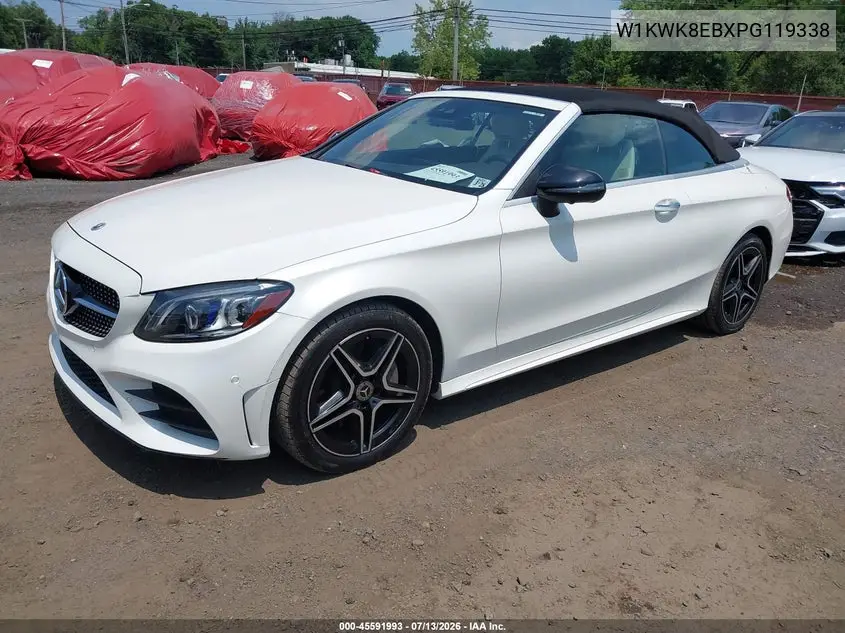2023 Mercedes-Benz C 300 4Matic Cabriolet VIN: W1KWK8EBXPG119338 Lot: 45591993