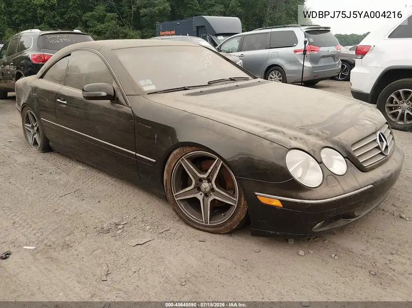 2000 Mercedes-Benz Cl 500 VIN: WDBPJ75J5YA004216 Lot: 45645590