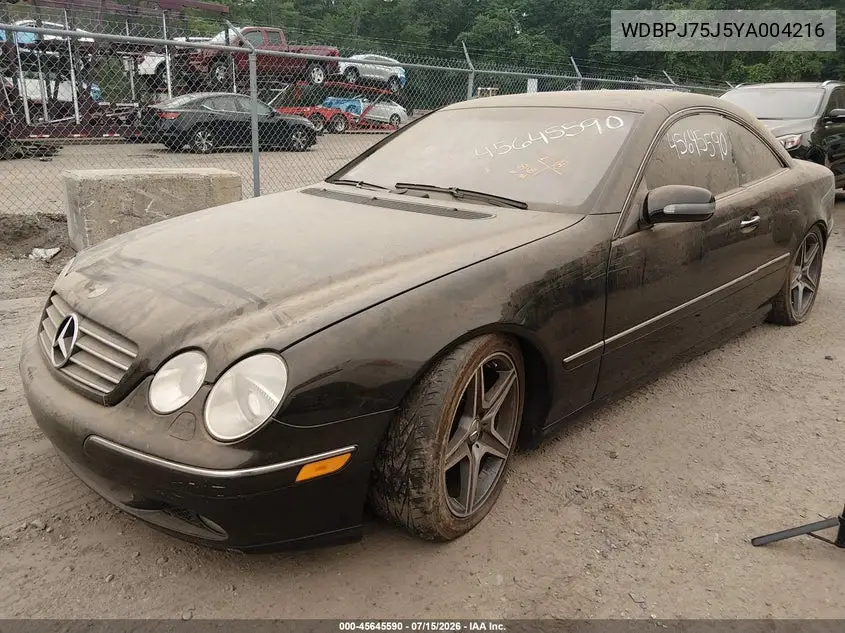 2000 Mercedes-Benz Cl 500 VIN: WDBPJ75J5YA004216 Lot: 45645590
