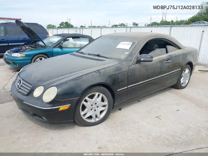 2002 Mercedes-Benz Cl 500 VIN: WDBPJ75J12A028133 Lot: 45311989