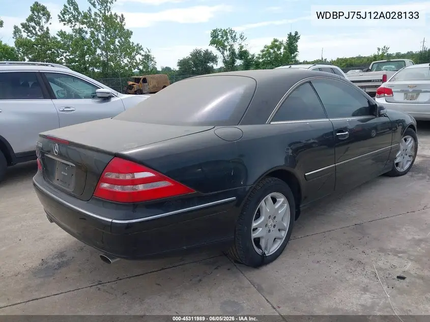 2002 Mercedes-Benz Cl 500 VIN: WDBPJ75J12A028133 Lot: 45311989