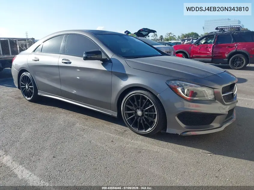 2016 Mercedes-Benz Cla 250 VIN: WDDSJ4EB2GN343810 Lot: 45554446