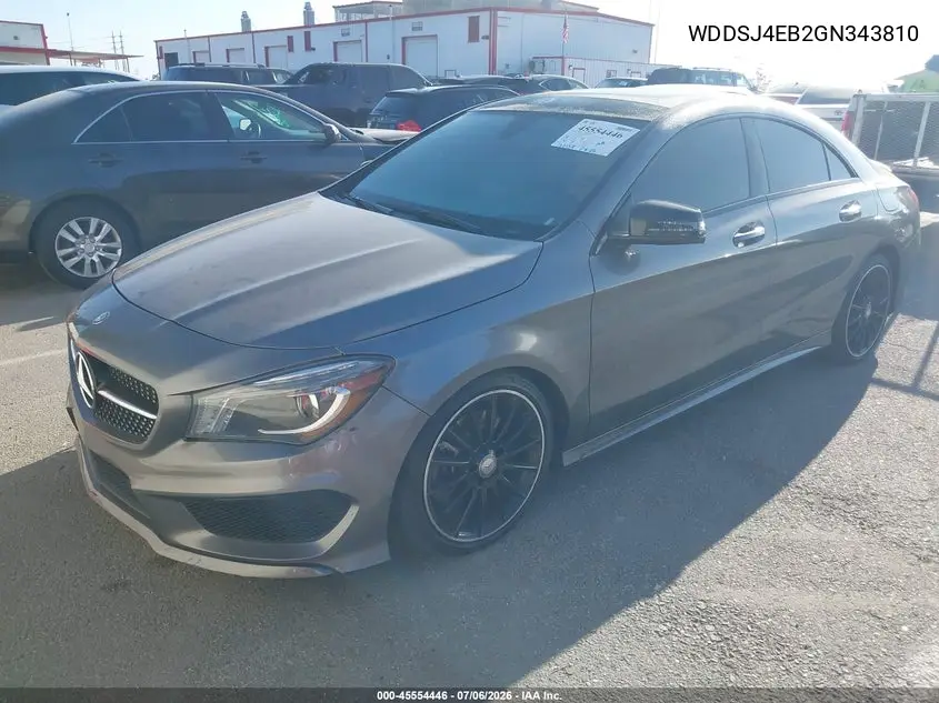2016 Mercedes-Benz Cla 250 VIN: WDDSJ4EB2GN343810 Lot: 45554446