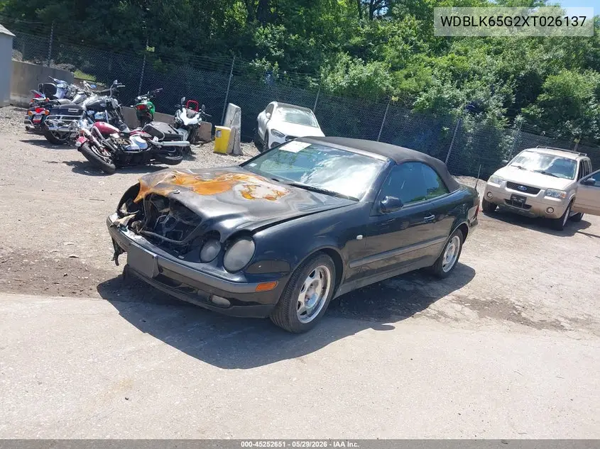 1999 Mercedes-Benz Clk 320 VIN: WDBLK65G2XT026137 Lot: 45252651