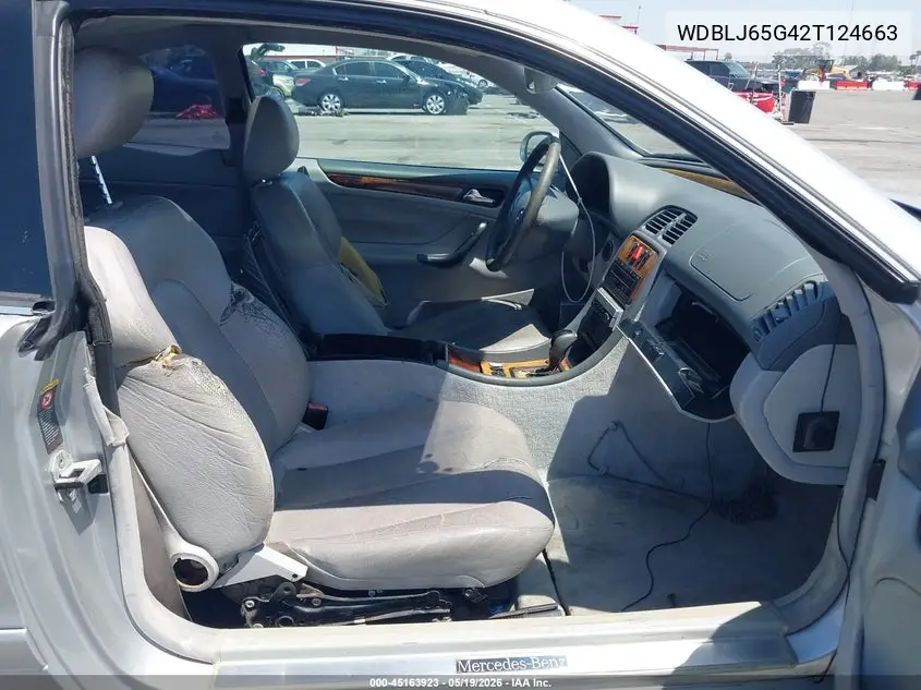 2002 Mercedes-Benz Clk 320 VIN: WDBLJ65G42T124663 Lot: 45163923