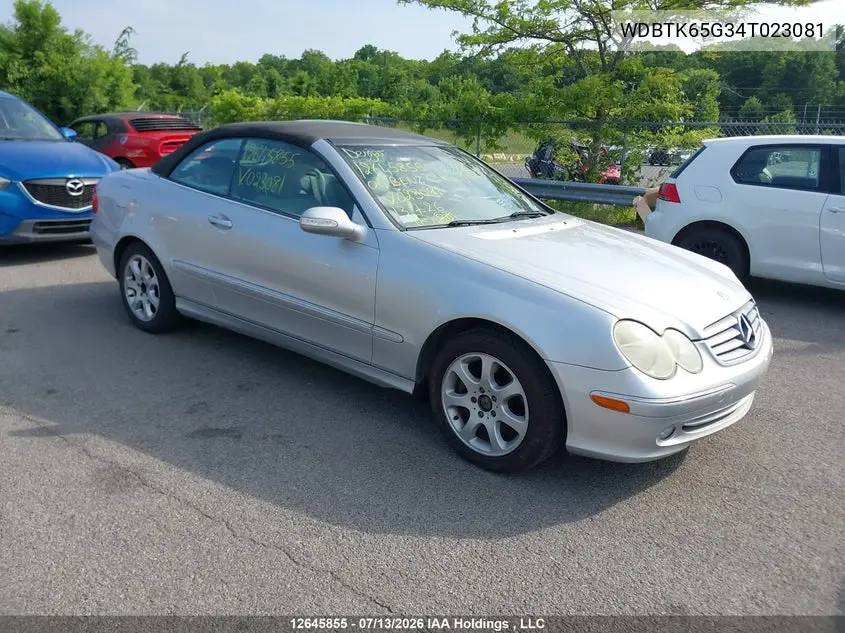 2004 Mercedes-Benz Clk 320 VIN: WDBTK65G34T023081 Lot: 12645855