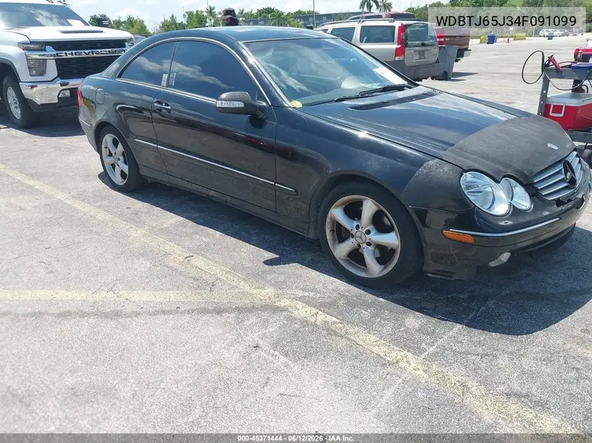 2004 Mercedes-Benz Clk 320 VIN: WDBTJ65J34F091099 Lot: 45371444