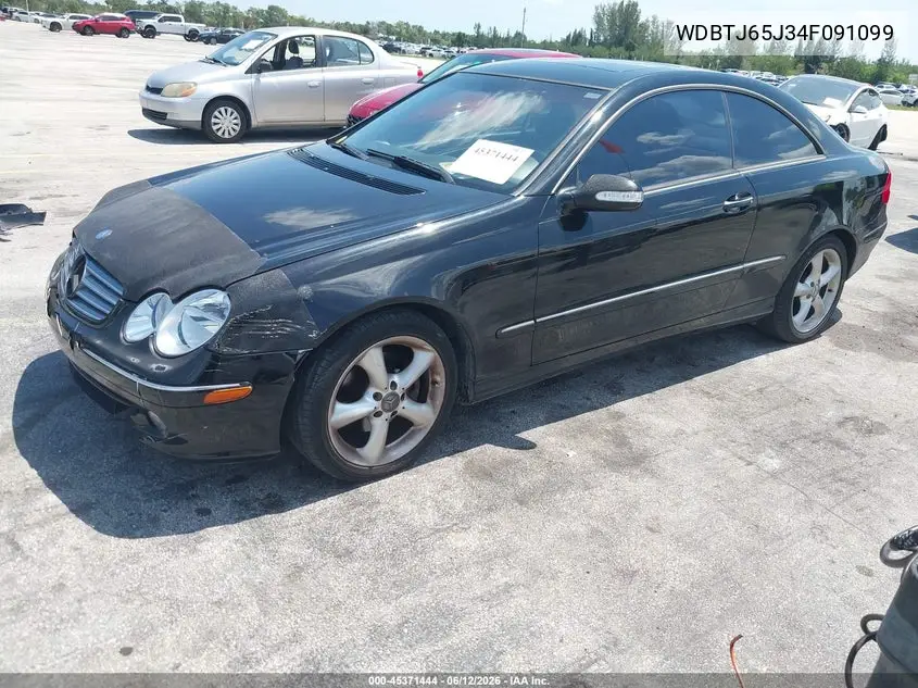 2004 Mercedes-Benz Clk 320 VIN: WDBTJ65J34F091099 Lot: 45371444