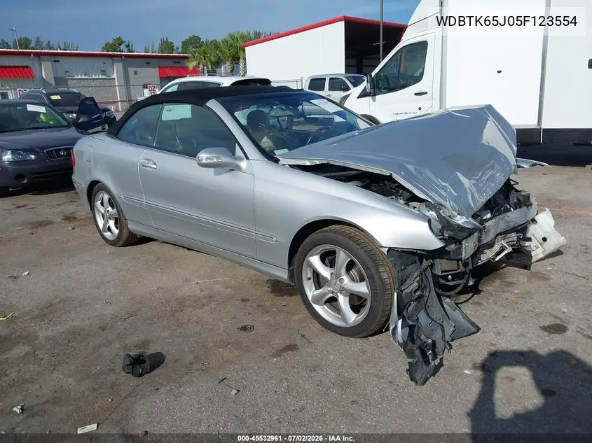 2005 Mercedes-Benz Clk 320 VIN: WDBTK65J05F123554 Lot: 45532961