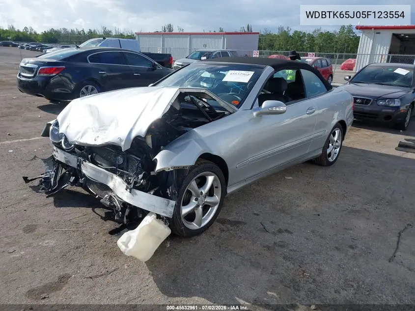 2005 Mercedes-Benz Clk 320 VIN: WDBTK65J05F123554 Lot: 45532961