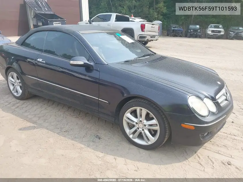 2009 Mercedes-Benz Clk 350 VIN: WDBTK56F59T101593 Lot: 45625595