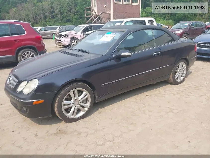 2009 Mercedes-Benz Clk 350 VIN: WDBTK56F59T101593 Lot: 45625595
