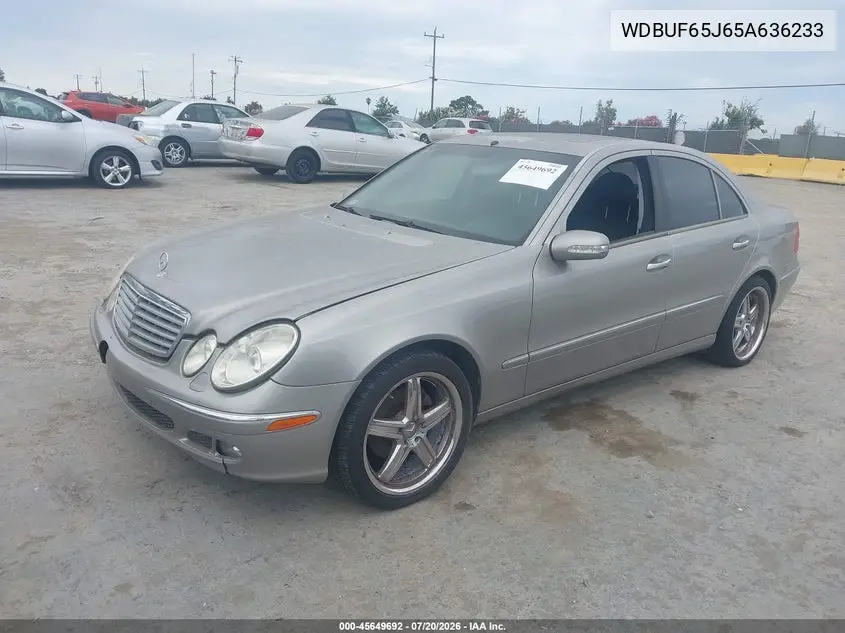 2005 Mercedes-Benz E 320 VIN: WDBUF65J65A636233 Lot: 45649692