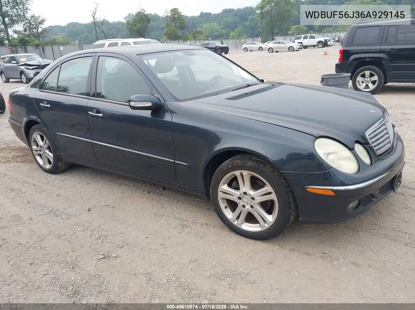 2006 Mercedes-Benz E 350 VIN: WDBUF56J36A929145 Lot: 45610574
