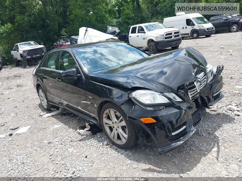 2012 Mercedes-Benz E 350 4Matic VIN: WDDHF8JB5CA559600 Lot: 45611041
