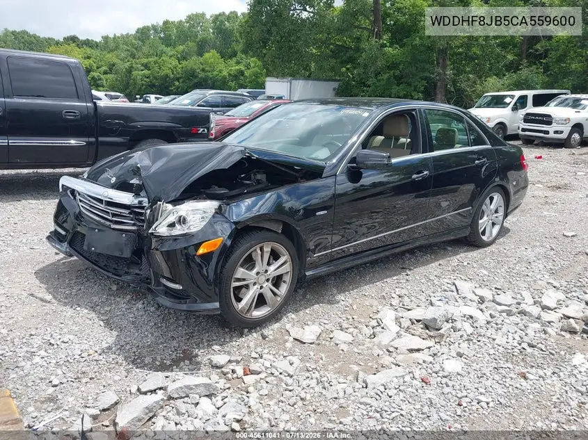 2012 Mercedes-Benz E 350 4Matic VIN: WDDHF8JB5CA559600 Lot: 45611041