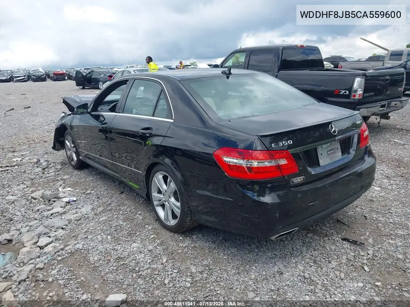 2012 Mercedes-Benz E 350 4Matic VIN: WDDHF8JB5CA559600 Lot: 45611041