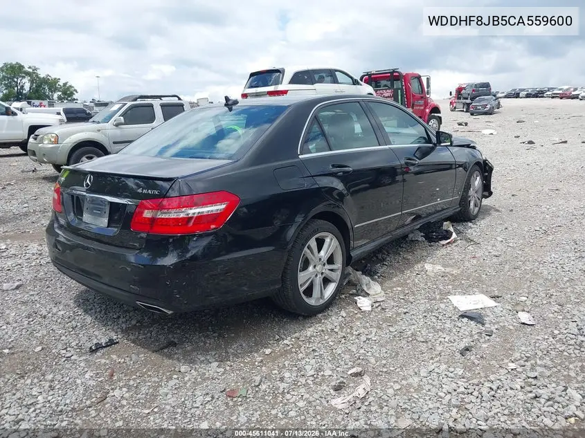 2012 Mercedes-Benz E 350 4Matic VIN: WDDHF8JB5CA559600 Lot: 45611041