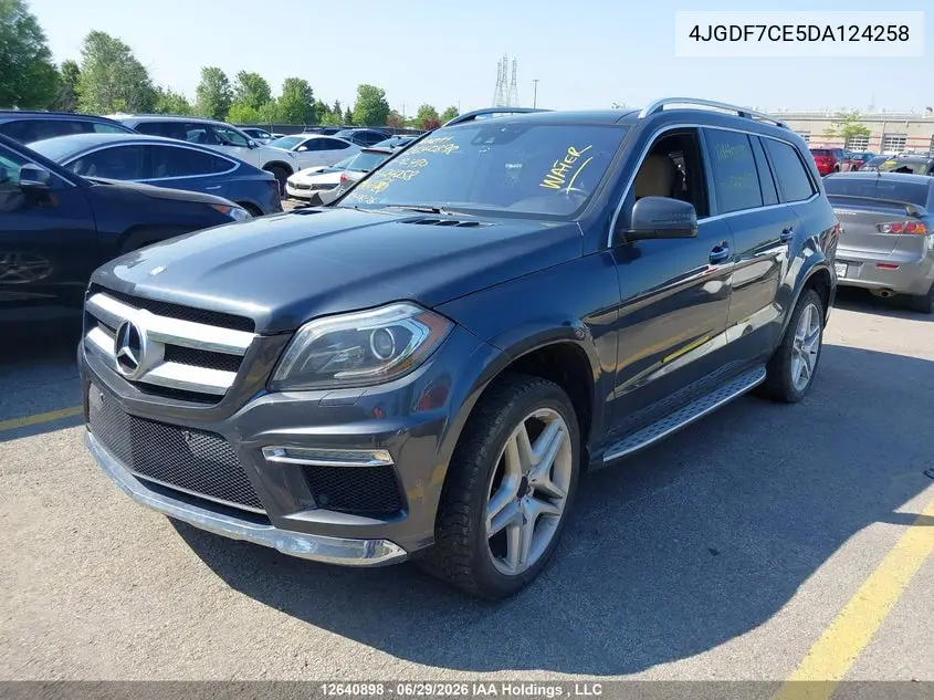 2013 Mercedes-Benz Gl 450 4Matic VIN: 4JGDF7CE5DA124258 Lot: 12640898
