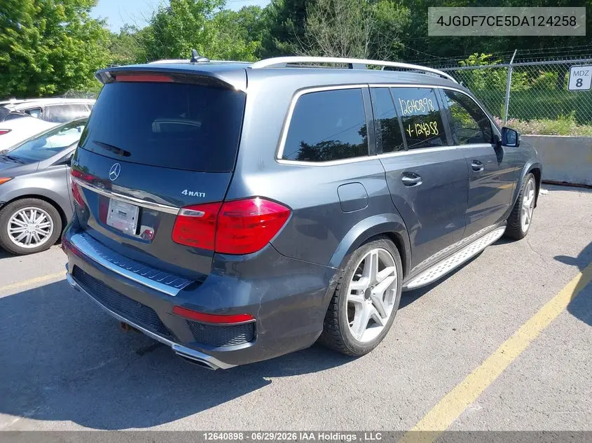 2013 Mercedes-Benz Gl 450 4Matic VIN: 4JGDF7CE5DA124258 Lot: 12640898
