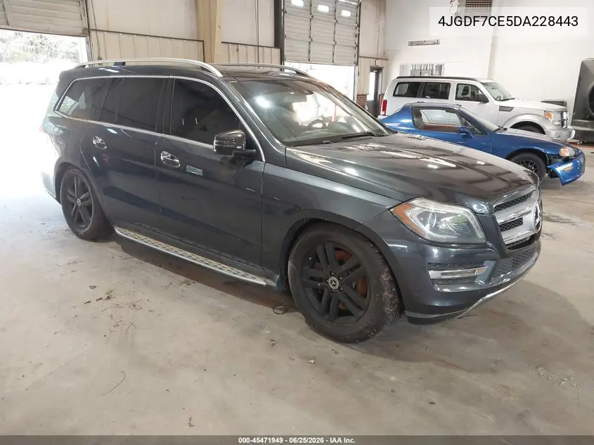 2013 Mercedes-Benz Gl 450 4Matic VIN: 4JGDF7CE5DA228443 Lot: 45471949