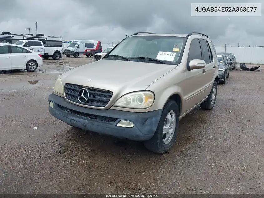 2002 Mercedes-Benz Ml 320 VIN: 4JGAB54E52A363677 Lot: 45573513