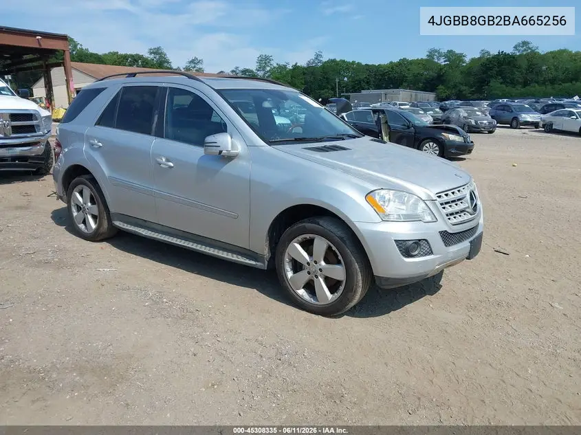 2011 Mercedes-Benz Ml 350 4Matic VIN: 4JGBB8GB2BA665256 Lot: 45308335