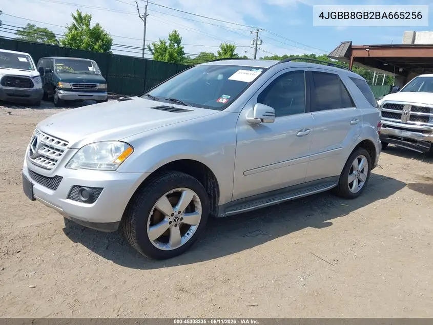 2011 Mercedes-Benz Ml 350 4Matic VIN: 4JGBB8GB2BA665256 Lot: 45308335