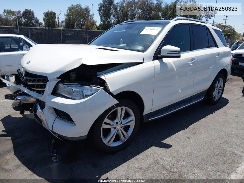 2013 Mercedes-Benz Ml 350 VIN: 4JGDA5JB1DA250323 Lot: 45561824