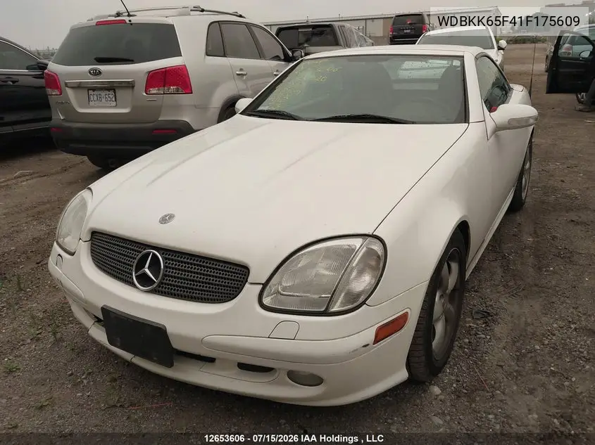 2001 Mercedes-Benz Slk 320 320 VIN: WDBKK65F41F175609 Lot: 12653606